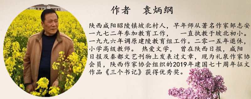 好多年前，家乡礼泉县的农民靠果业发了家，可是现在许多人挖果树