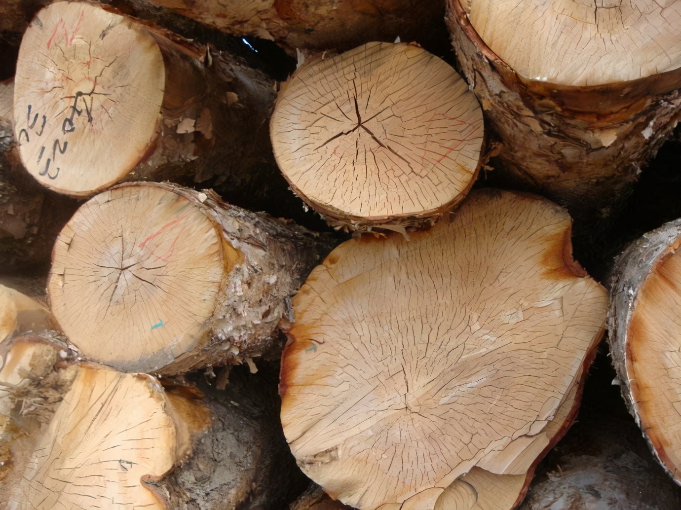 实木床材质哪个性价比高,2千左右的实木床买哪种材质