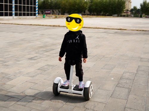 买菜遛狗车,买菜智能平衡车