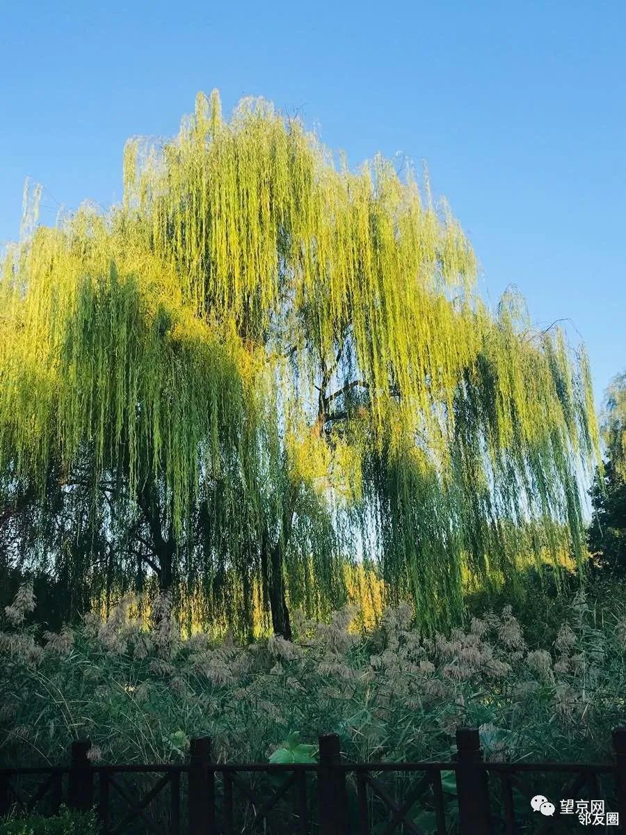 这样的你爱了吗精彩片段,这样的你爱了吗片段