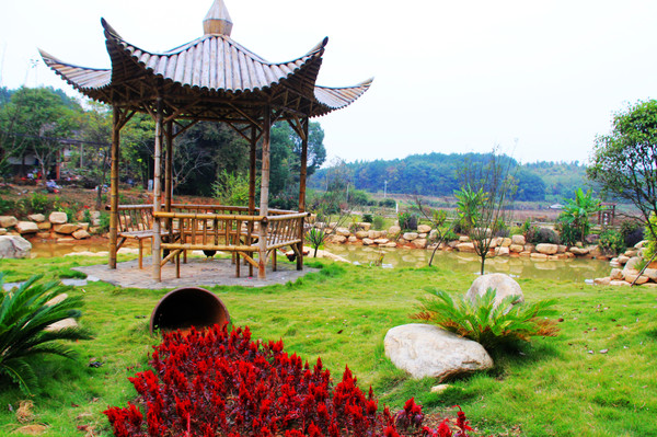 鄱湖之秋,鄱湖之滨信江之畔余干