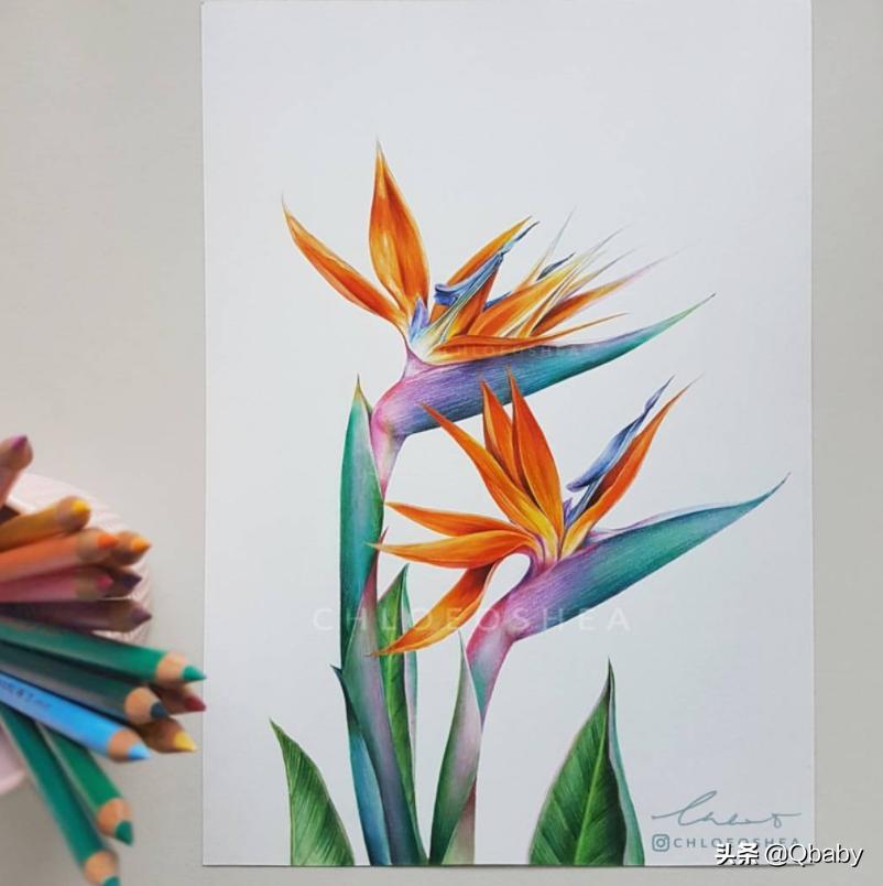 适合零基础学画的工具,零基础入门绘画工具