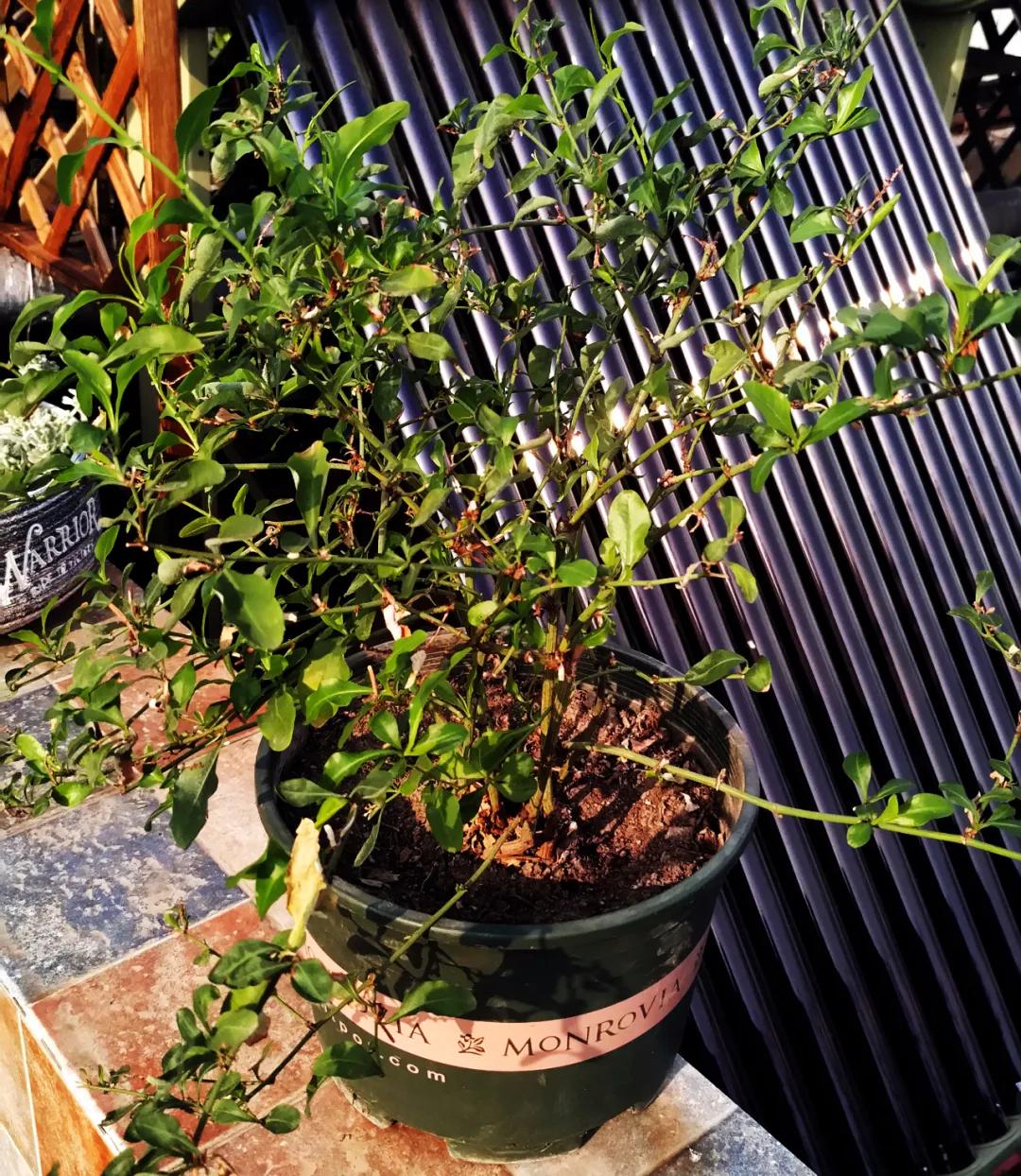 “雪”花那个PiaoPiao，这个世界真好