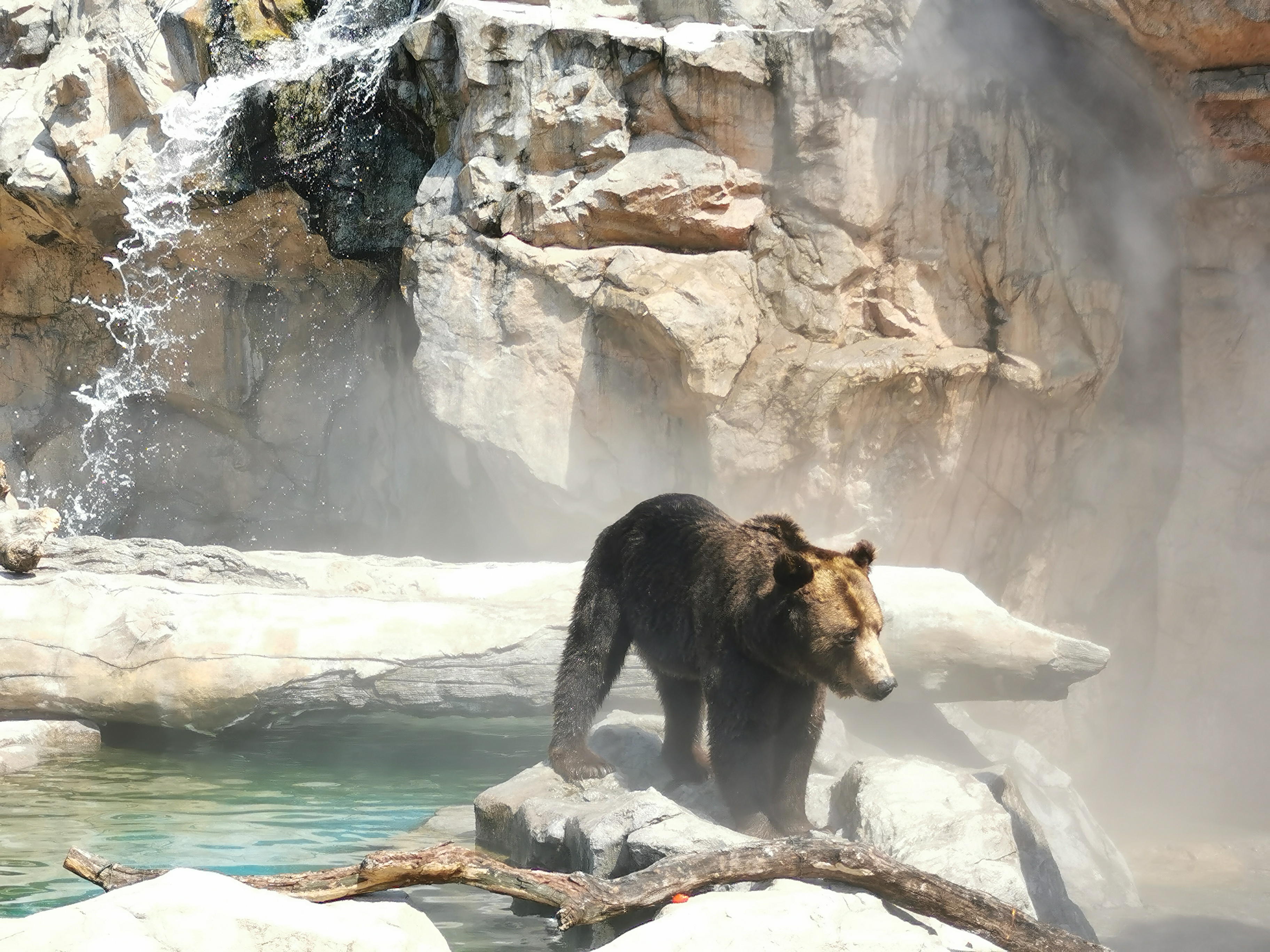 第一次去珠海长隆视频,第一次去珠海长隆怎么玩