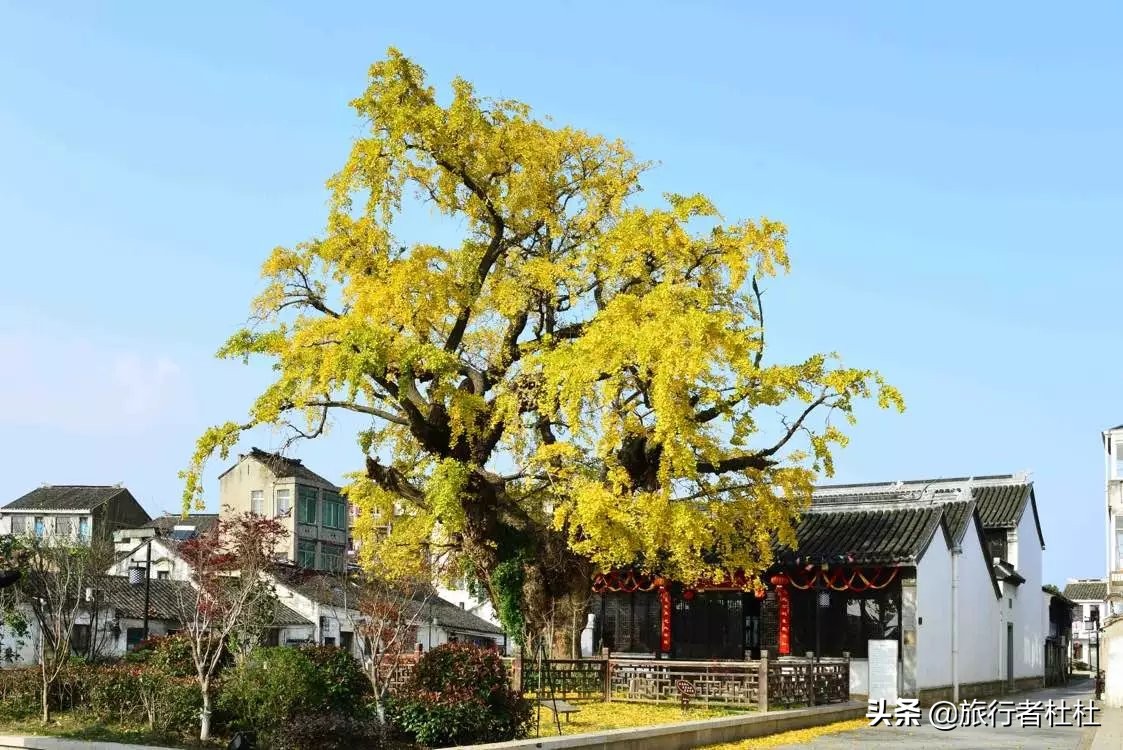 无锡最美古镇古村,无锡太湖明珠十大古镇