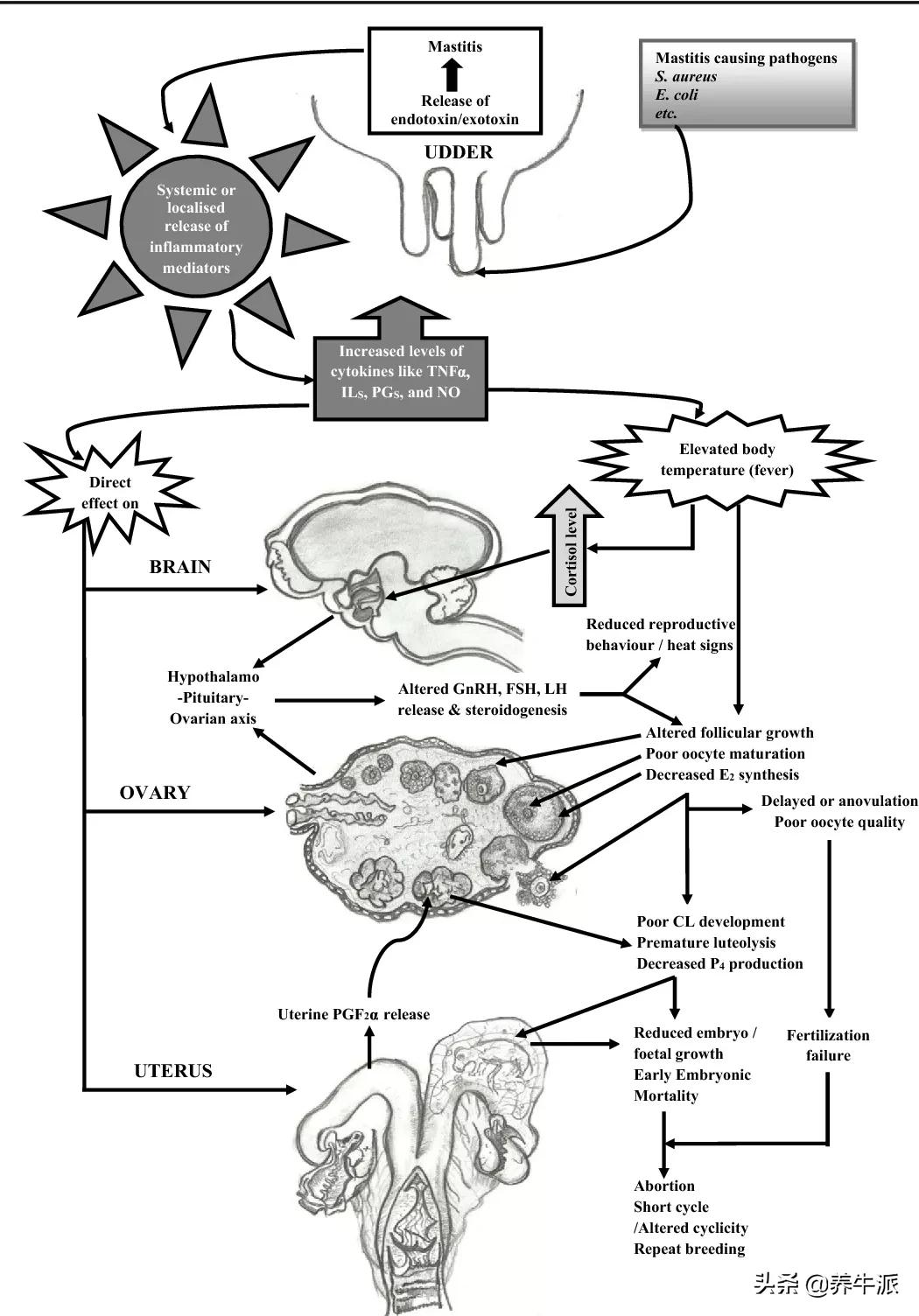 qa检查机,qa需要做到什么