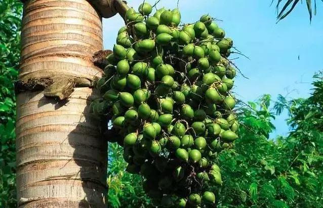 近八年学校食堂食品安全事件,校园食堂真实事件