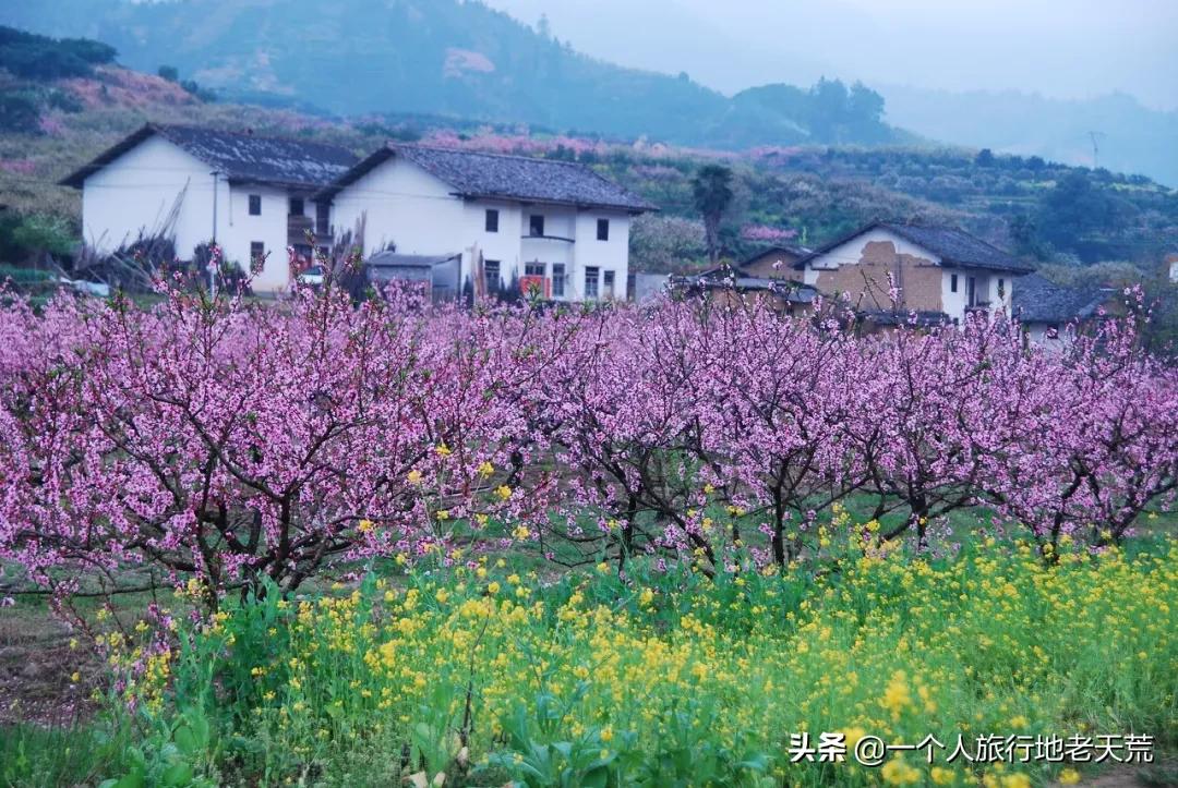 国内最适合一个人旅行的20个地方!去过才懂得什么是自由