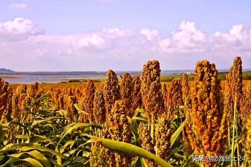 走进阿拉善大漠孤烟,阿拉善巴彦浩特