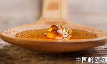 枣花蜂蜜洋槐蜂蜜百花蜂蜜哪个好,蜂蜜怎么样辨别是好蜂蜜
