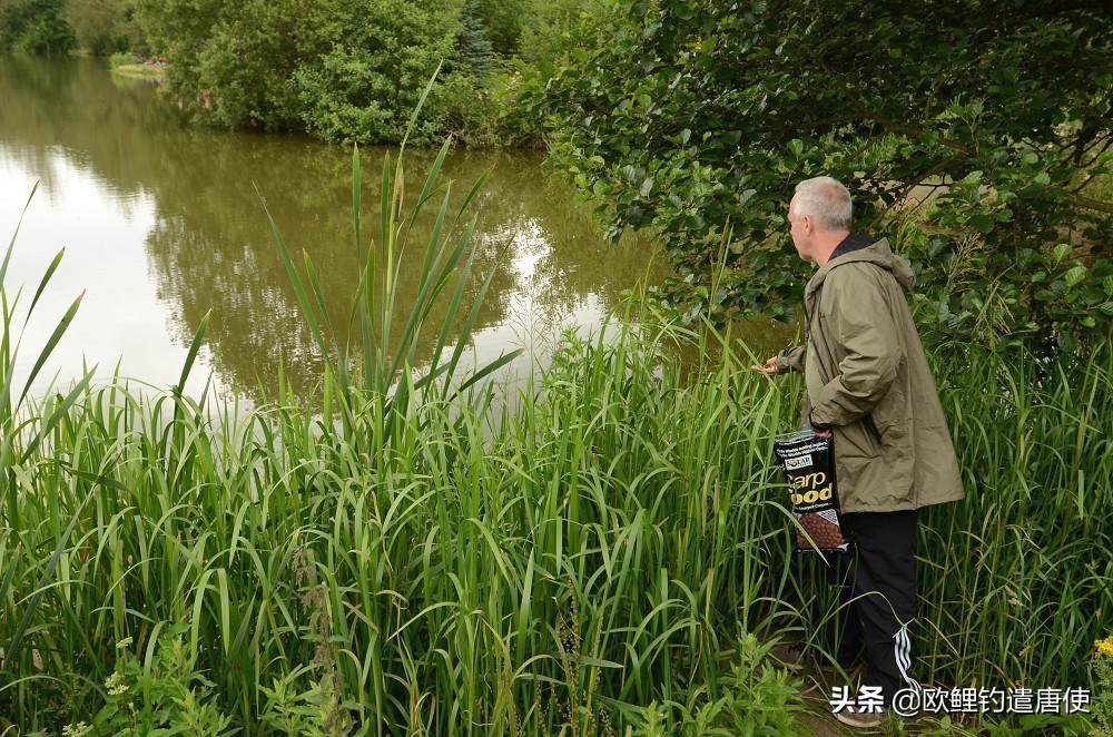 夏季下雨过后钓鱼应如何选择钓位,夏季垂钓这3个钓位上鱼超多