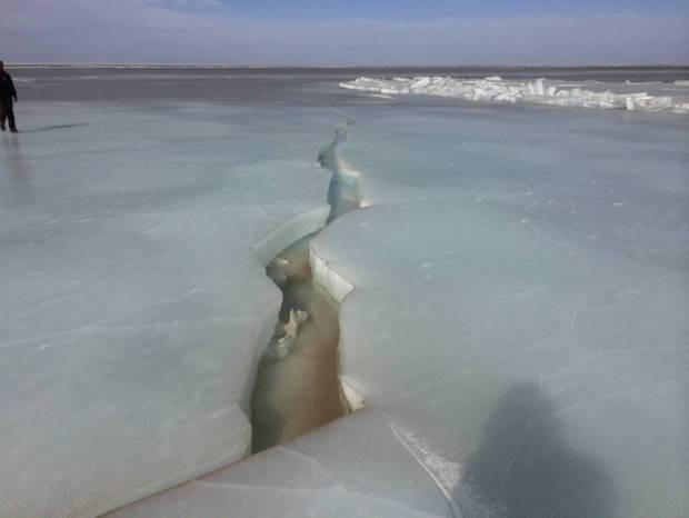 河狸皮毛的优点,河狸皮毛十分名贵