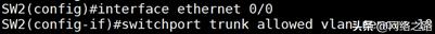vlanallowed原理,trunk允许几个vlan通过