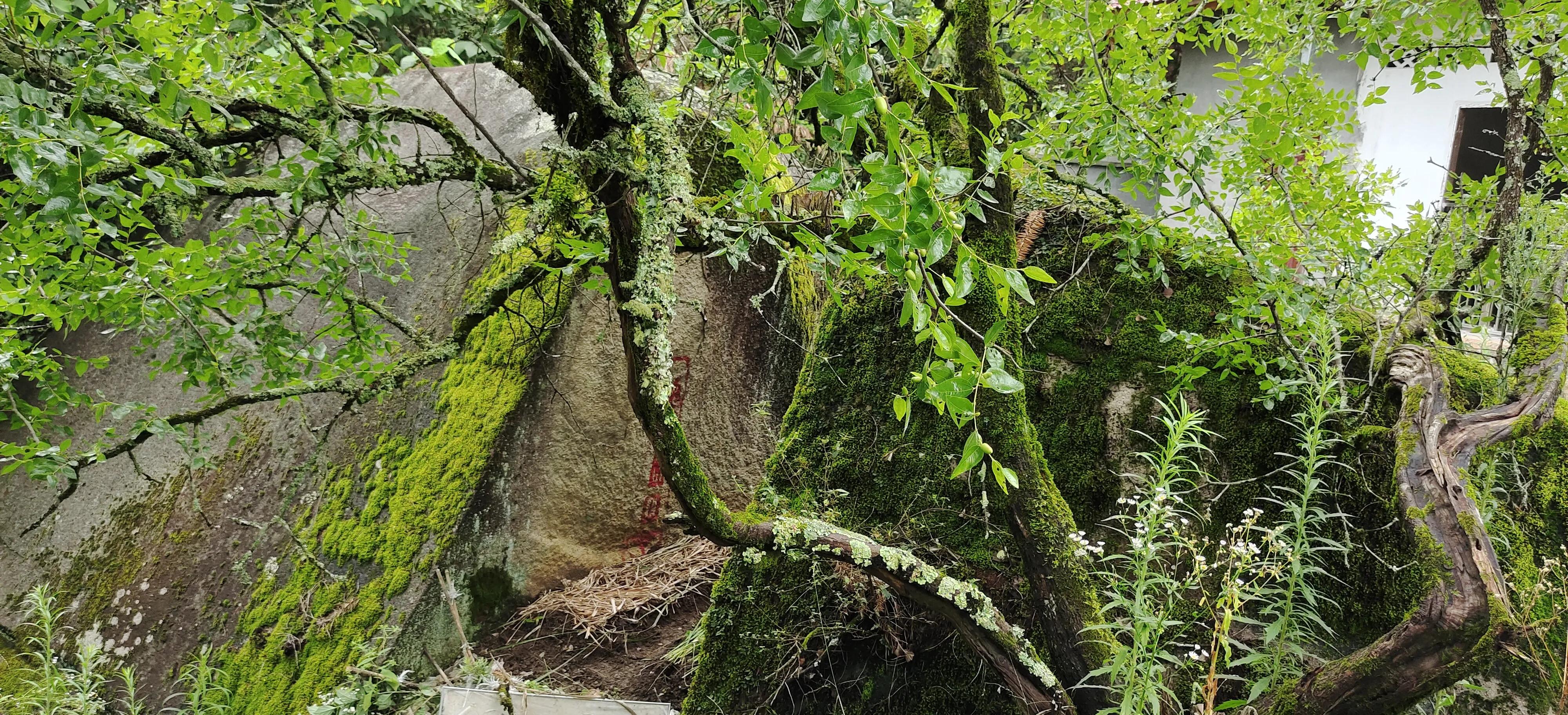 登上绝壁悬崖感受一览众山小,登上泰山之巅的感觉