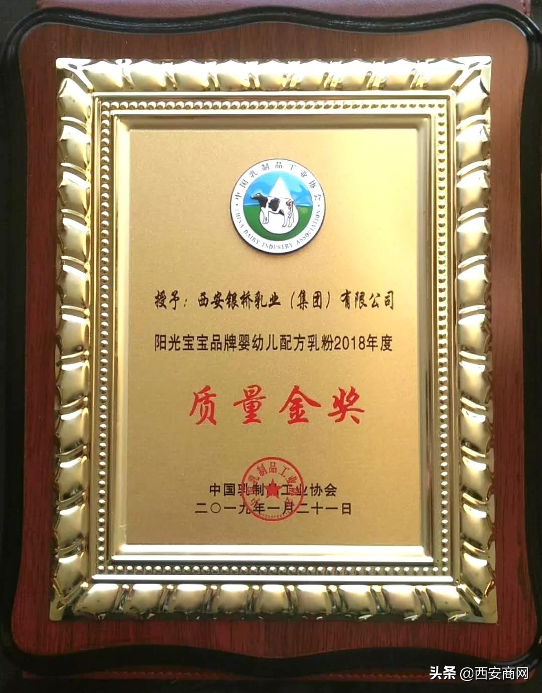 银桥奶粉阳光宝宝,银桥阳光宝宝奶粉3段