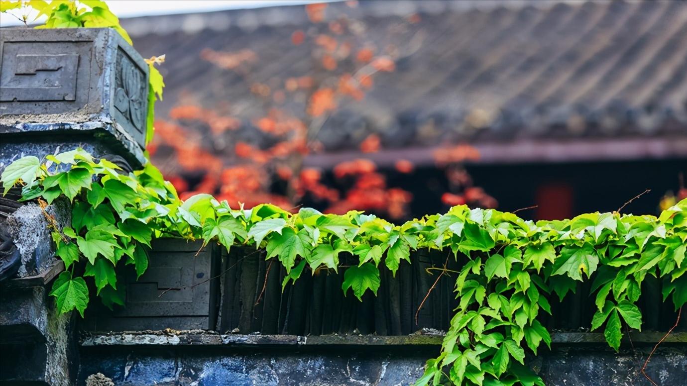 江苏扬州全面介绍,江苏省扬州市有什么区