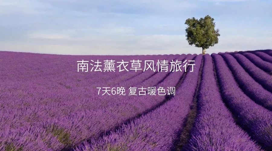 签证涨价,申根签证面签攻略最新