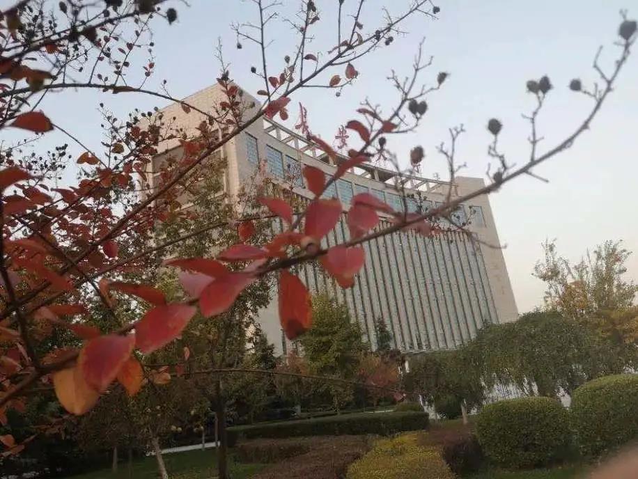 西安最豪华的大学图书馆,最豪华食堂大学