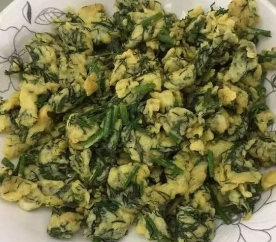 小茴香炒肉祛湿气,茴香排宿便