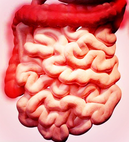 内痔和直肠癌的出血区别,直肠癌出血与痔疮出血有何区别