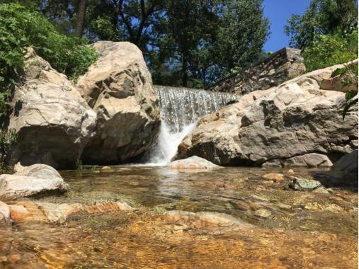 药乡国家森林公园免门票吗,药乡国家森林公园游玩