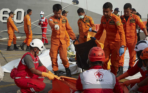 鐙埅737max绌洪毦鍘熷洜鐓х墖,鍗板凹鐙瓙737max绌洪毦