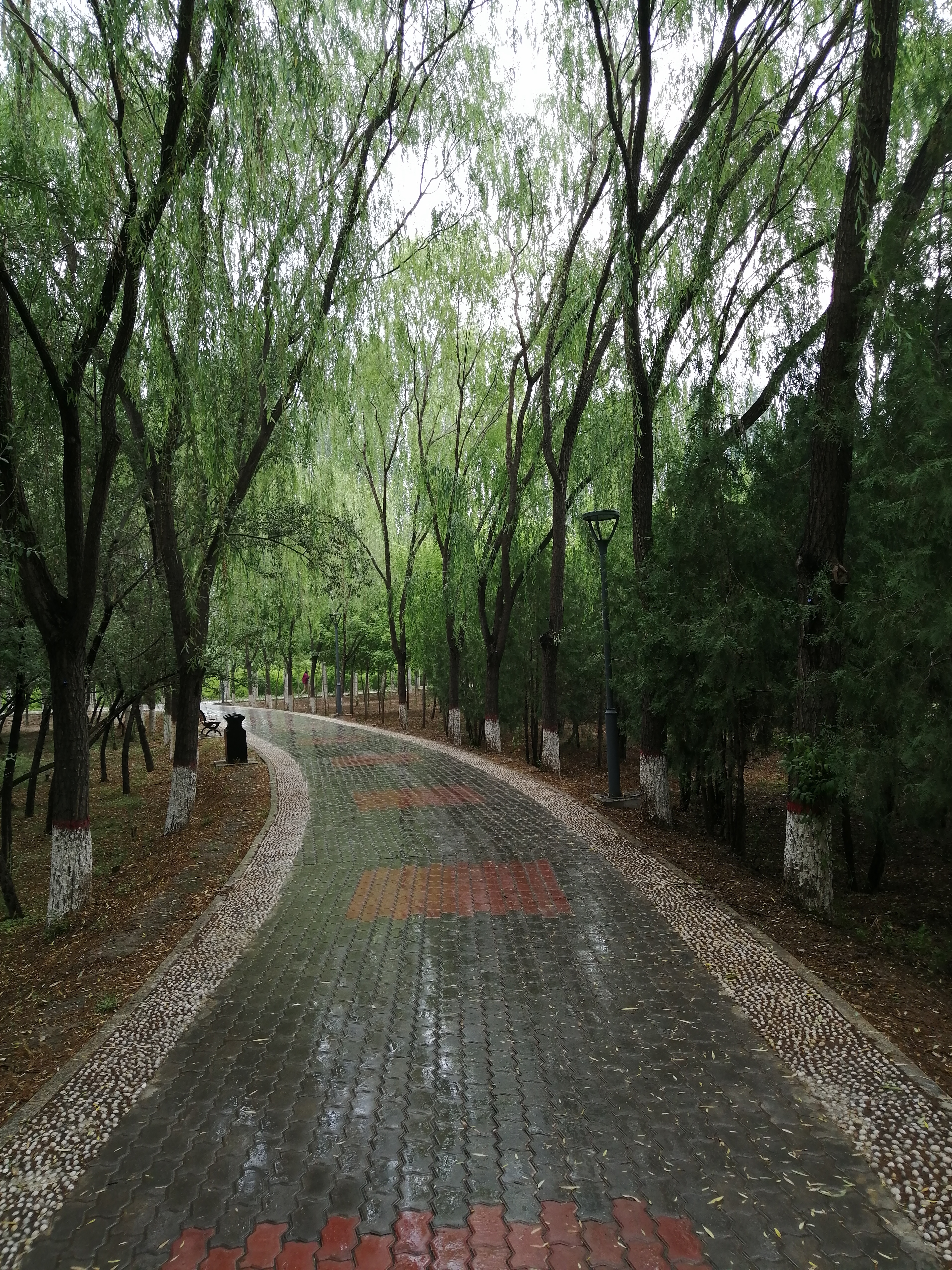 凤凰公园南京,凤凰公园的凤凰