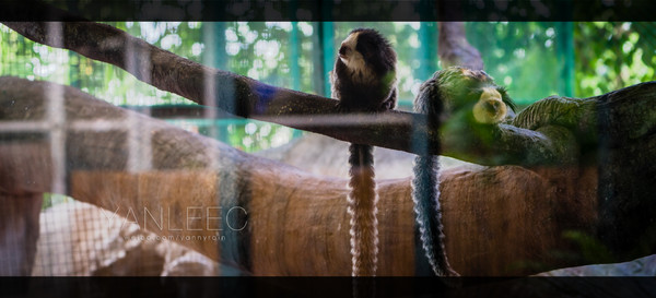 泰国旅游漫游,最新鲜玩转泰国攻略