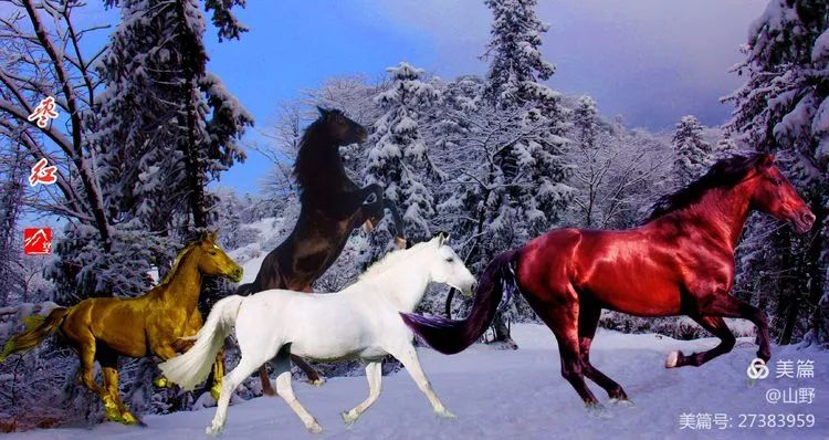 弼马温养马的官,弼马温在哪里看管天马