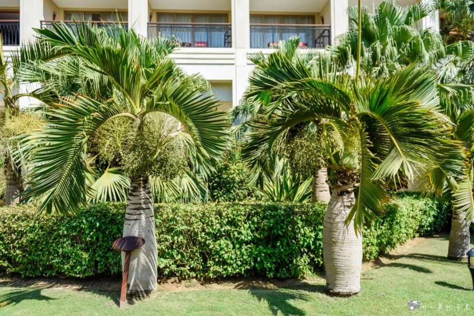 亚龙湾亲子酒店推荐适合带孩子,亚龙湾最适合亲子游的度假酒店