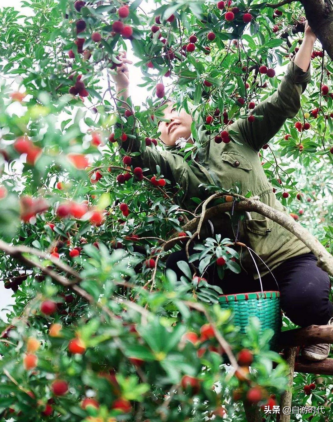 台州境内游,北斗游中国