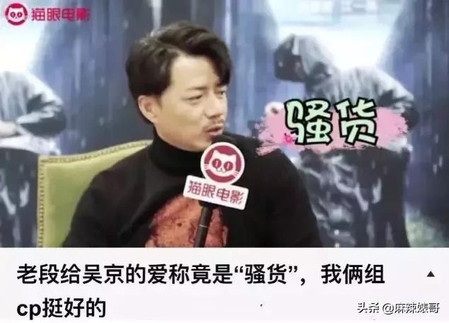 吴京电影宝藏,吴京演了无价之宝吗