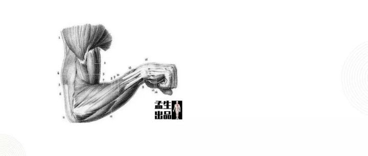 蛋白粉吃了什么效果,蛋白粉与蛋白质粉功效一样吗