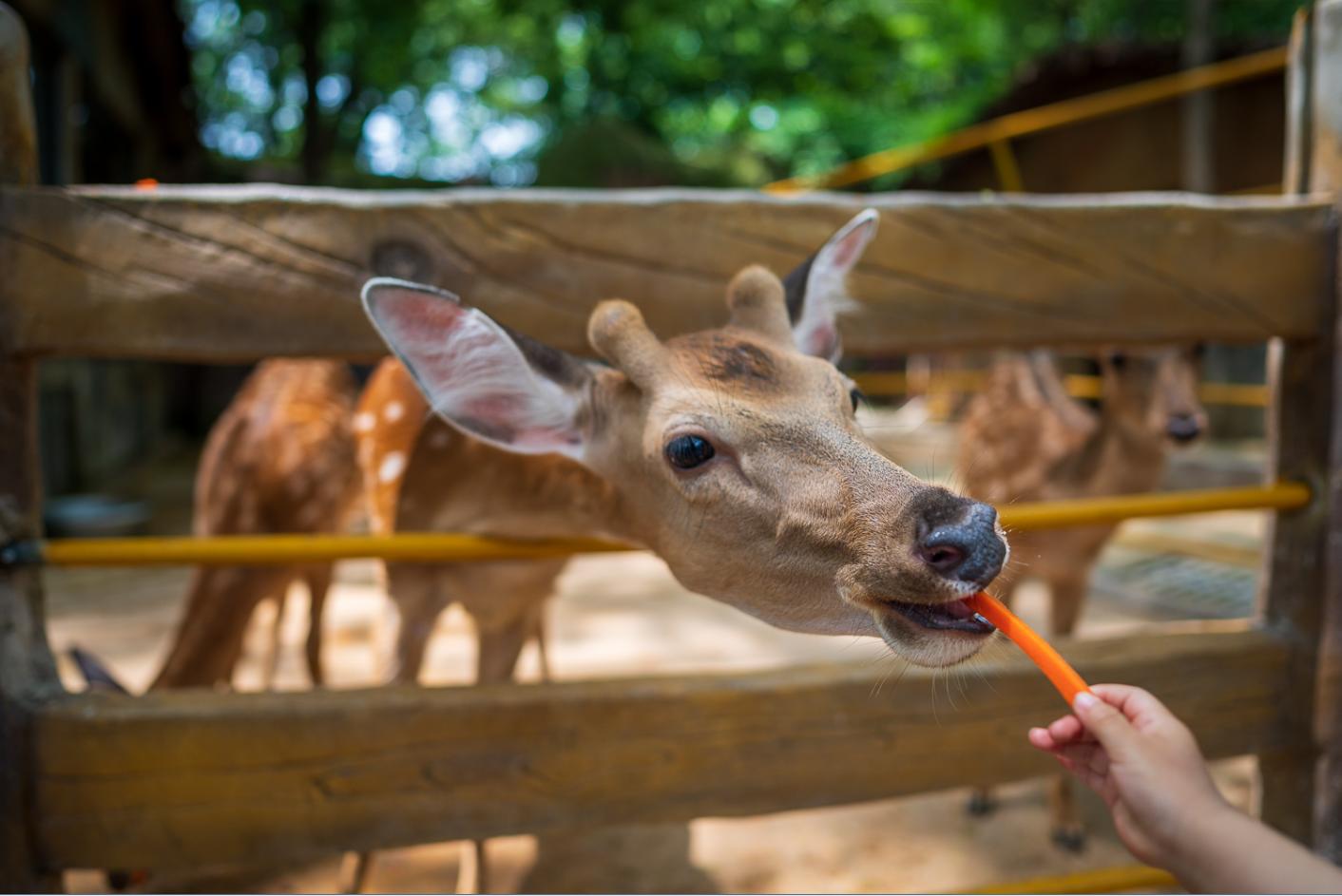 Z6？贼溜！——十五年佳能老用户的尼康初体验