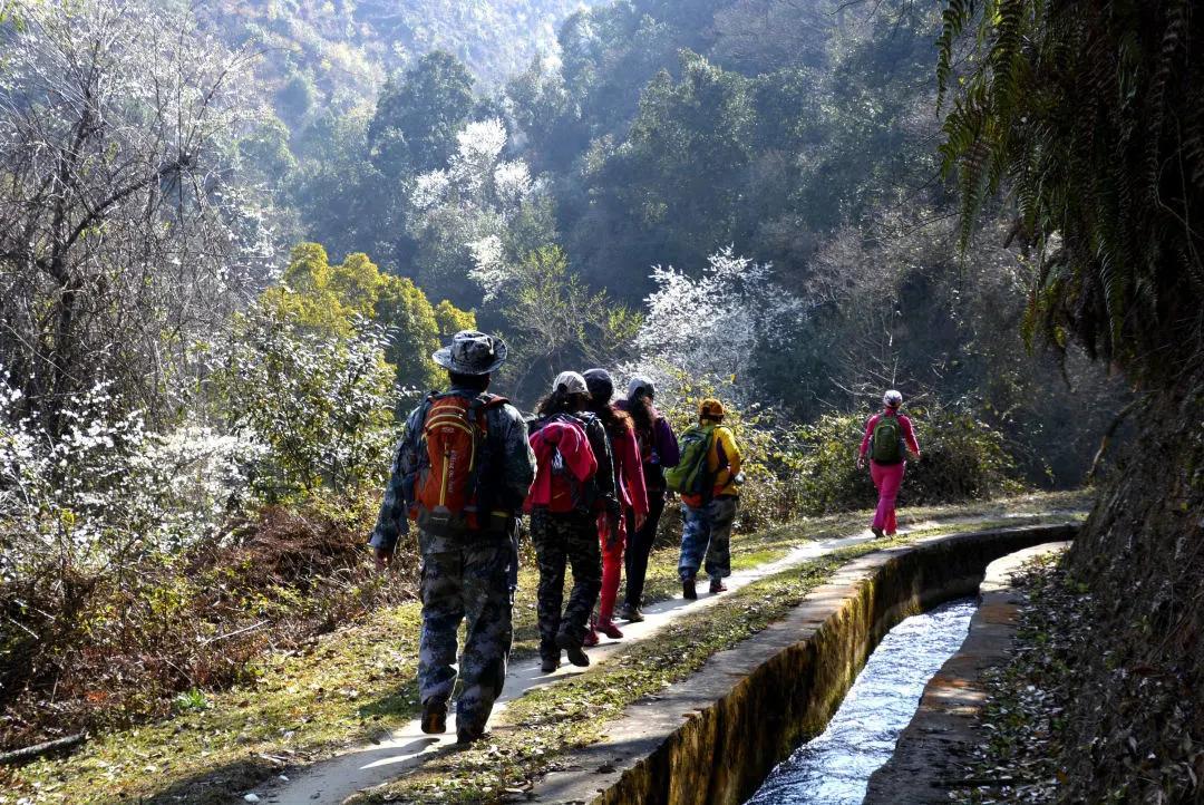 @个旧人，动起来！15分钟健身圈你打卡了吗？