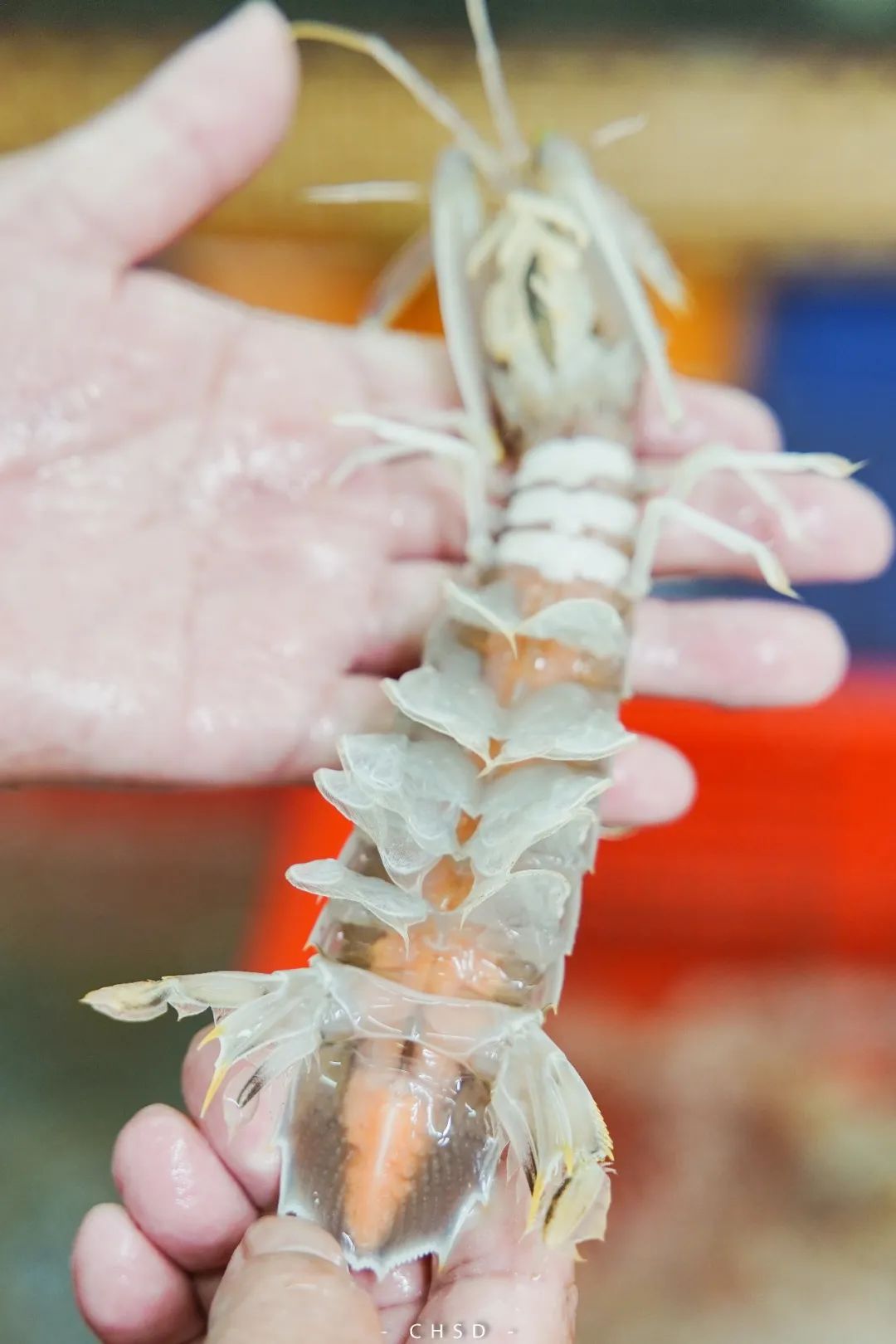 开渔啦一大波海鲜,开渔喽