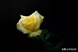 520祝福语表达爱意句句温馨美好,520祝福语送给最在乎的人