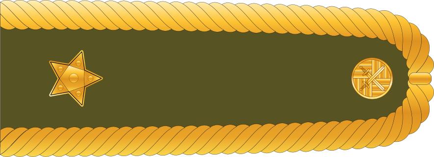 捷克军衔,捷克的军衔系统