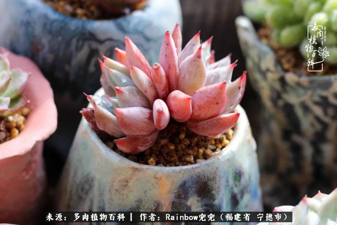 岁月无波澜余生不悲欢是啥意思,愿你岁月无波澜敬我余生无悲欢