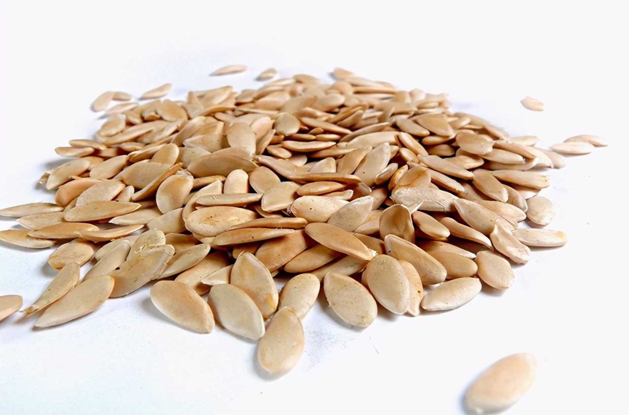 培育甜瓜苗用多大的育苗盘,甜瓜苗在穴盘里面多少天可以移栽