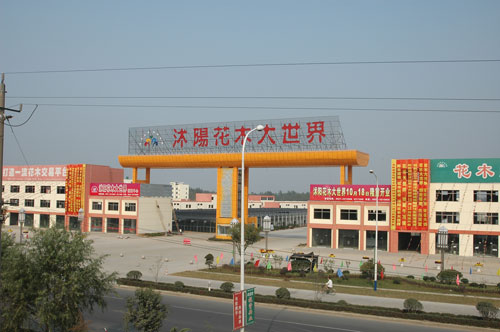 宿迁发展潜力最大的县,宿迁发展最好的县