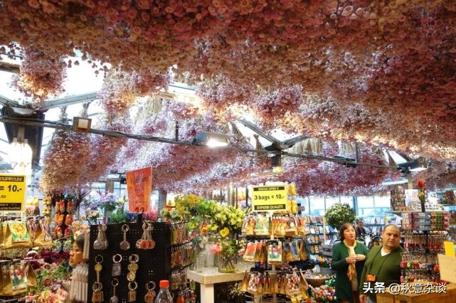 荷兰首都阿姆斯特丹什么出名,荷兰首都阿姆斯特丹街头漫步