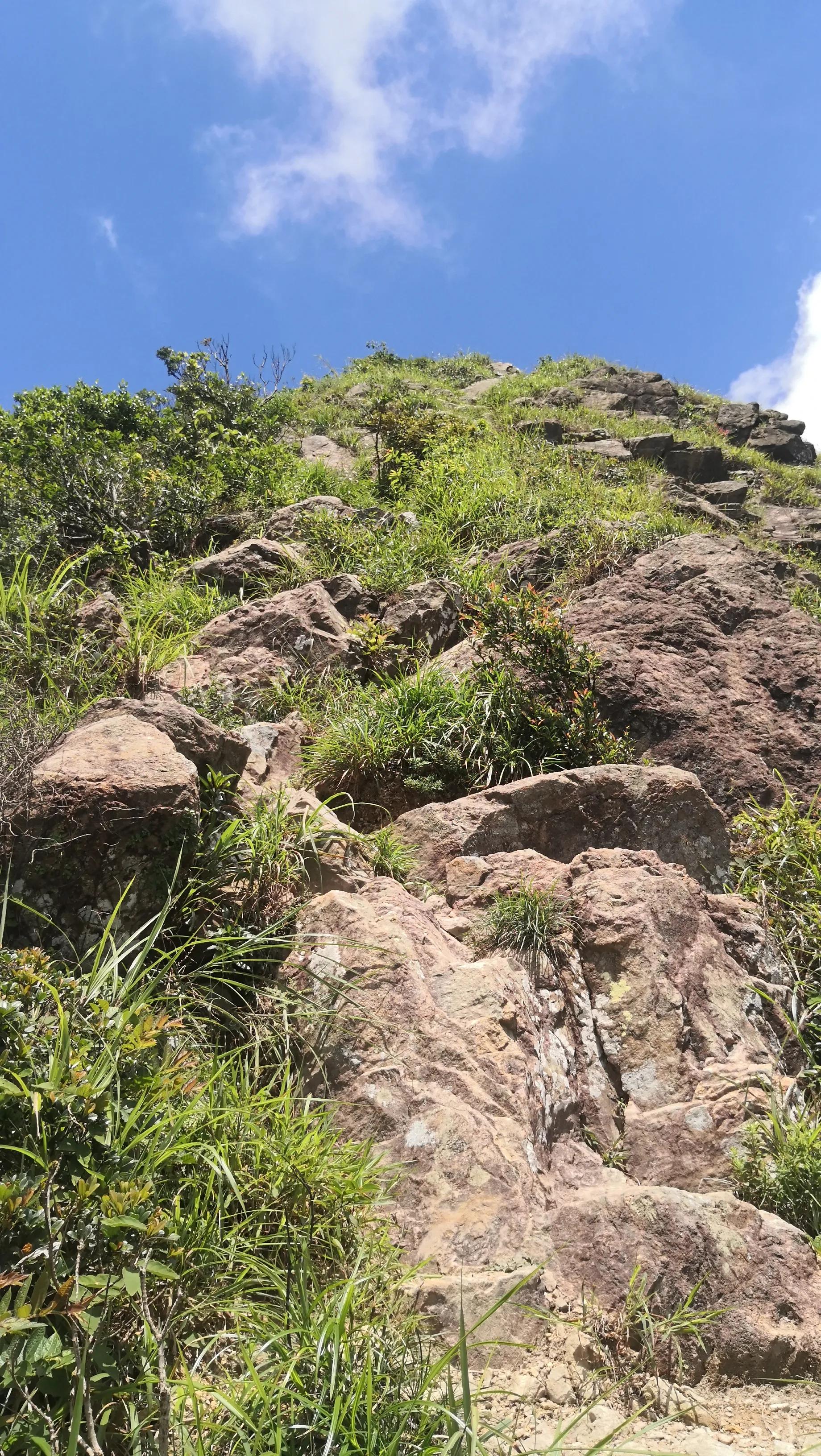 香港凤凰山狗牙岭难度大不大,香港凤凰山最难爬的山