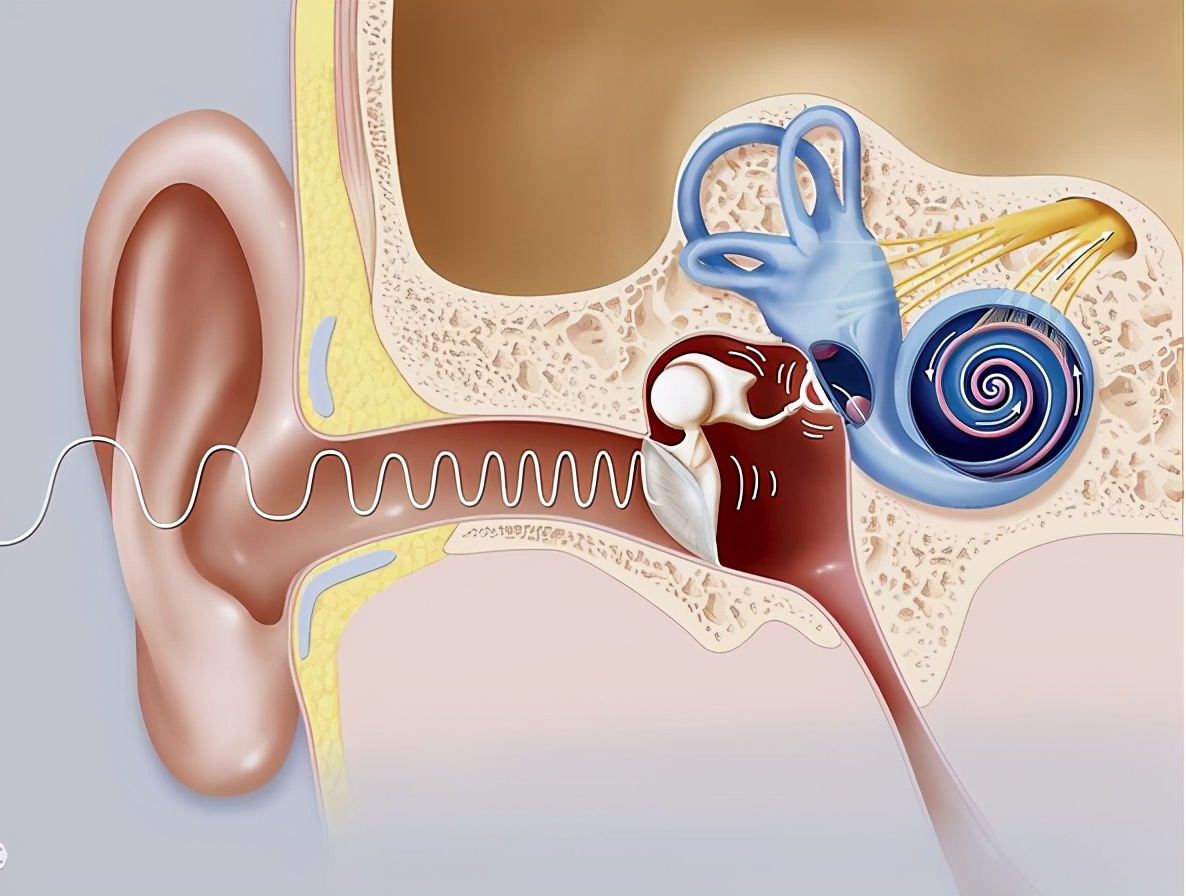 女子多年耳鸣被中医治好,55岁女耳鸣一年多不影响睡眠