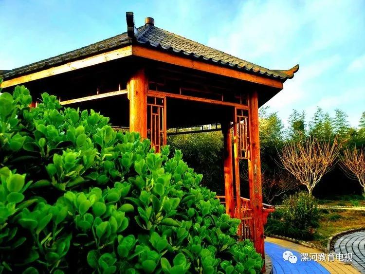 鲲鹏展翅自兹始，鹰击长空助梦飞——奋进中的漯河二中