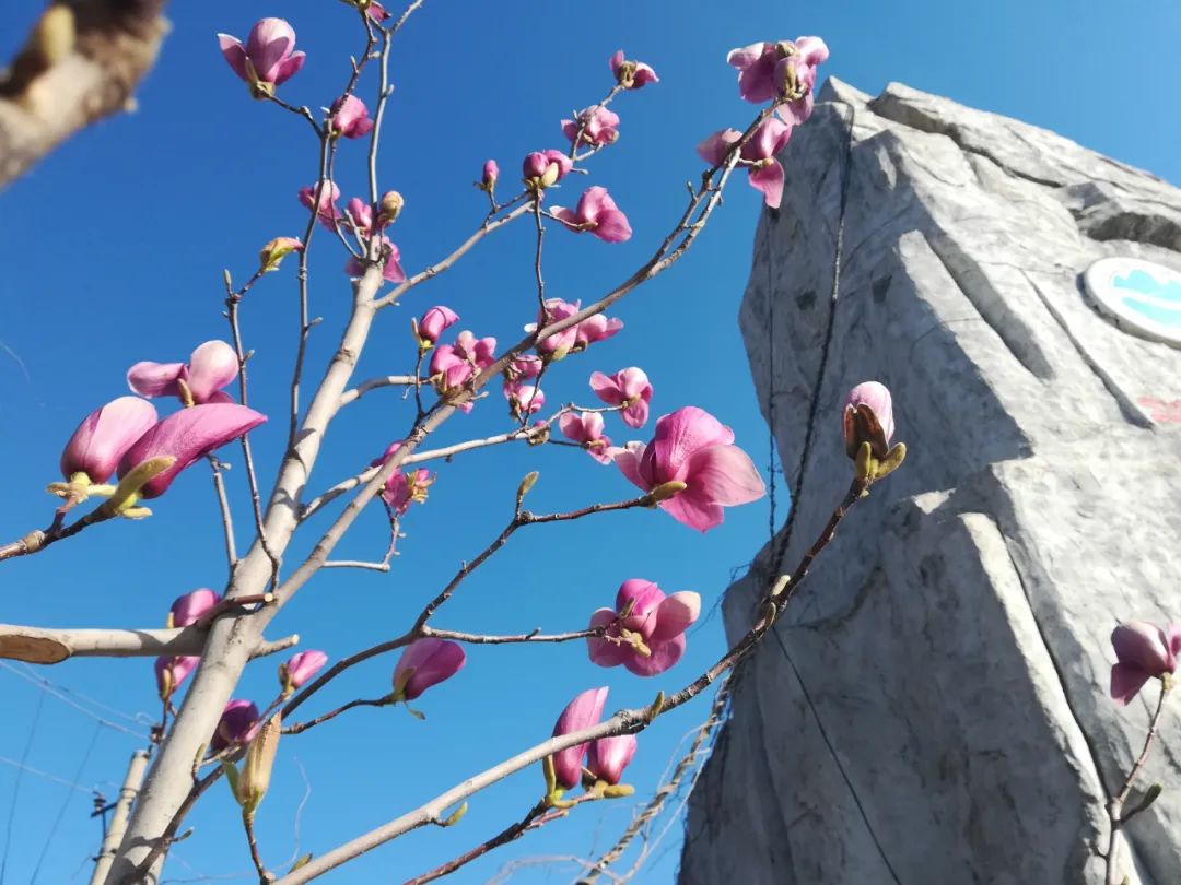 迁安新开景区,迁安新开的景区