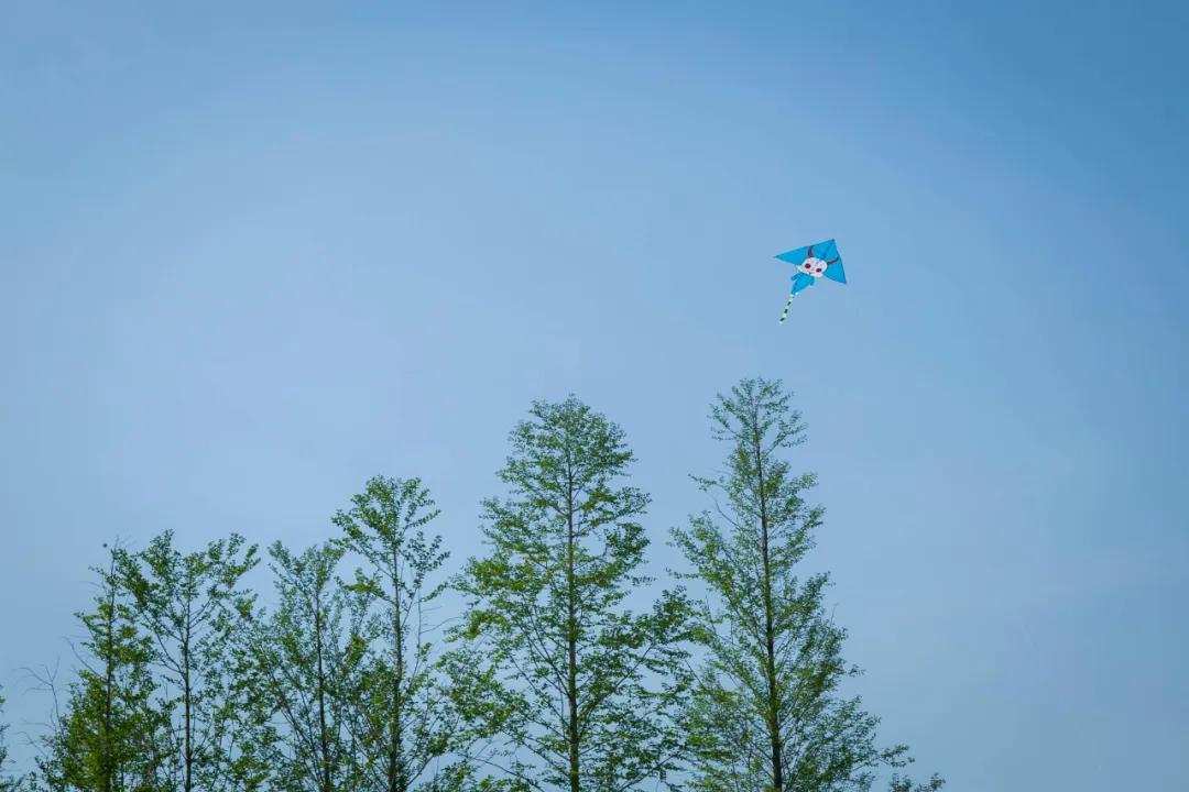 郑州亲子游户外公园十大排行榜,郑州免费适合遛娃玩的公园