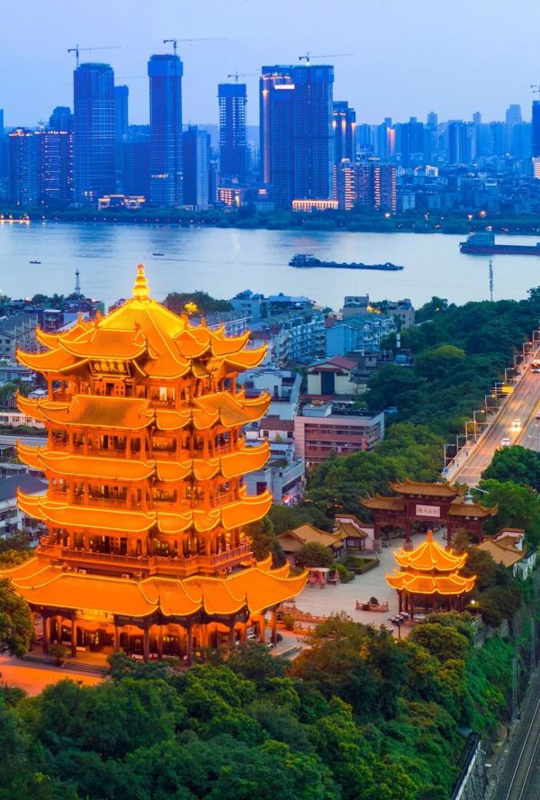 武汉新起点,武汉新起点学校