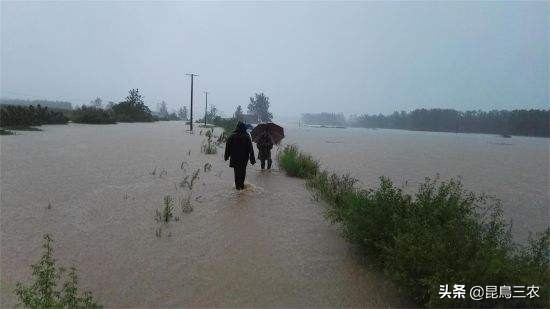 暴雨后水很浑浊怎么回事,暴雨多反而缺水的原因