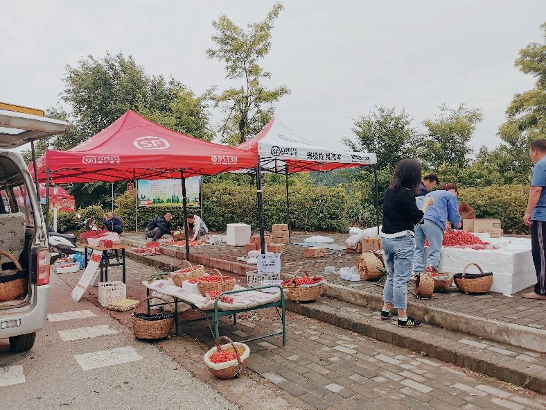 西安洪庆焚书坑儒,洪庆山焚书坑儒